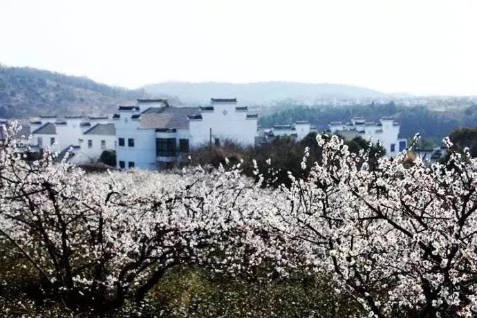 助力乡村振兴，“谦礼之尧”区域公用品牌走进长三角